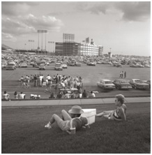 General view, Metropolitan Stadium, Bloomington, 1981